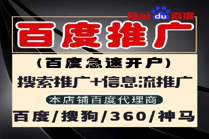 搜索引擎营销（SEM）的投放策略与效果评估——以某行业领先企业的案例分析
